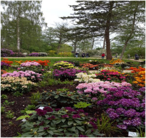 Der Rhododendronpark auf der Landes-Gartenschau in Eutin
